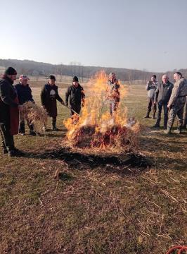 Koline v Domanjševcih